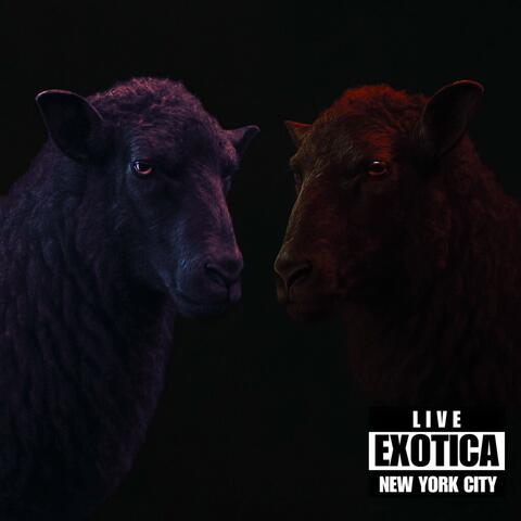 Exótica (Live In NYC) album art