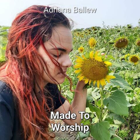Made To Worship album art