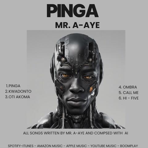 PINGA album art