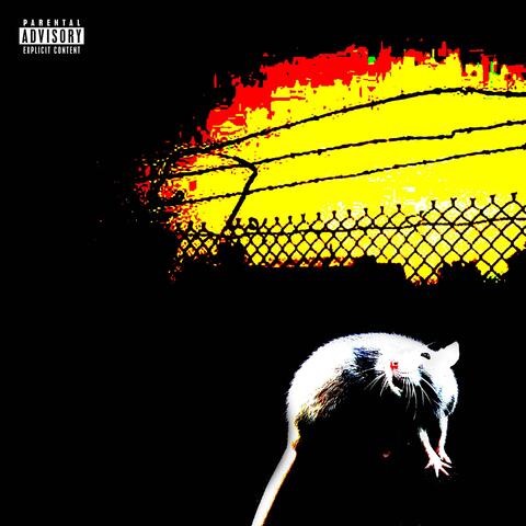 Animal de Testeo album art
