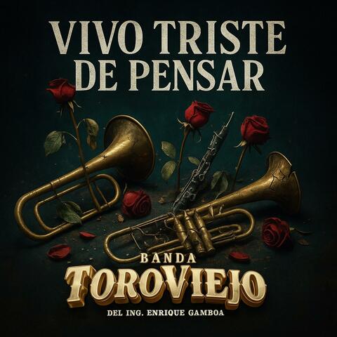 Vivo Triste De Pensar album art