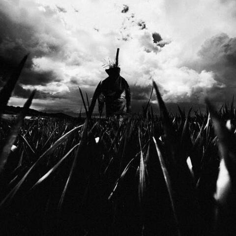 522 album art