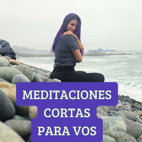 Meditaciones para Volver a Vos album art