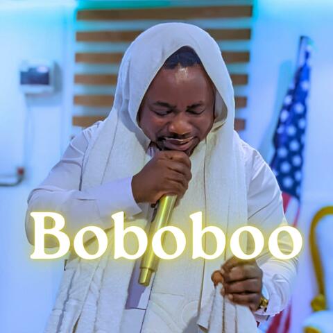 Boboboo album art