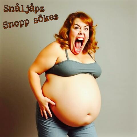 Snopp sökes album art