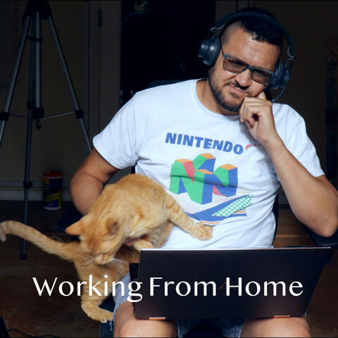 Working From Home album art
