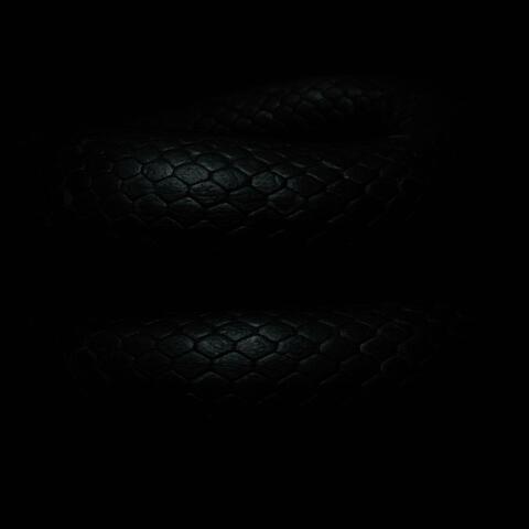 gnosis album art