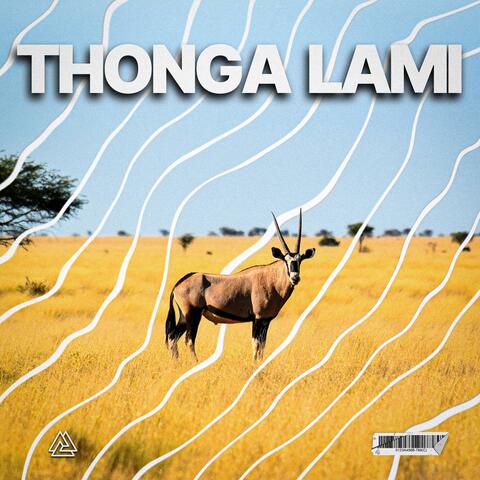Thonga Lami (feat. Teekay) album art