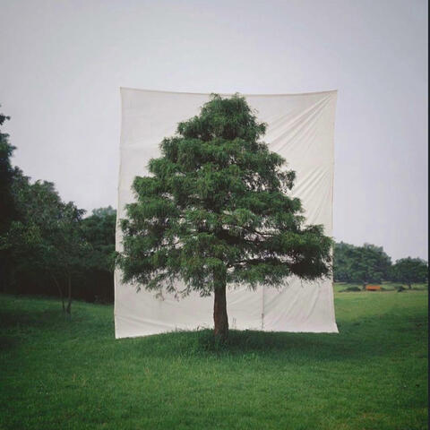 look up album art