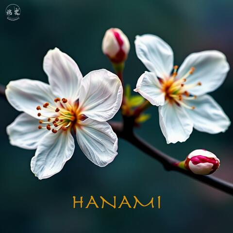 Hanami album art
