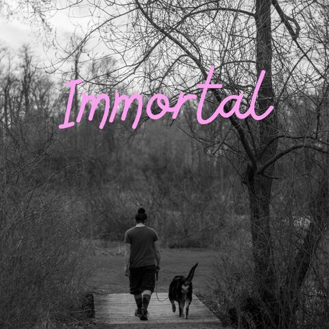 Immortal album art