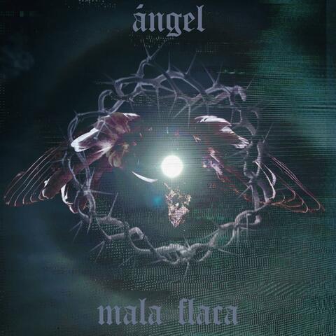 ángel album art