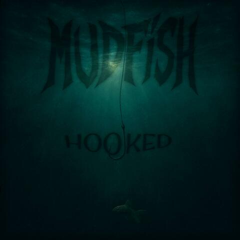 Hooked album art