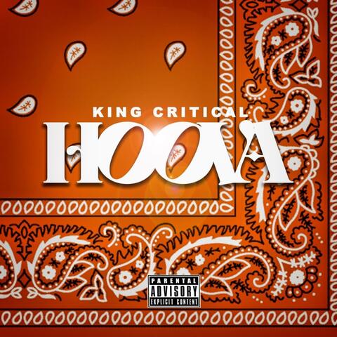 Hoova album art