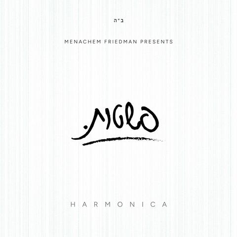 Pashtis פשטות album art