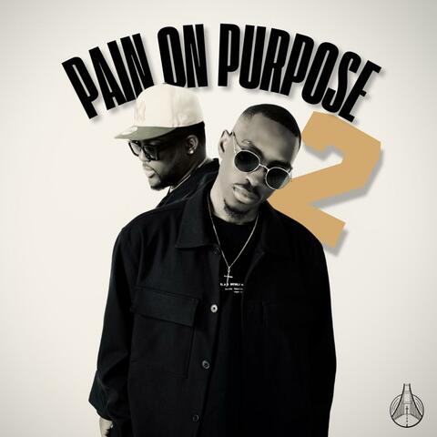 Pain On Purpose 2 album art