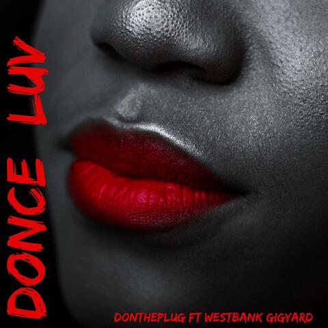 Donce Luv (feat. BIGYARD) album art