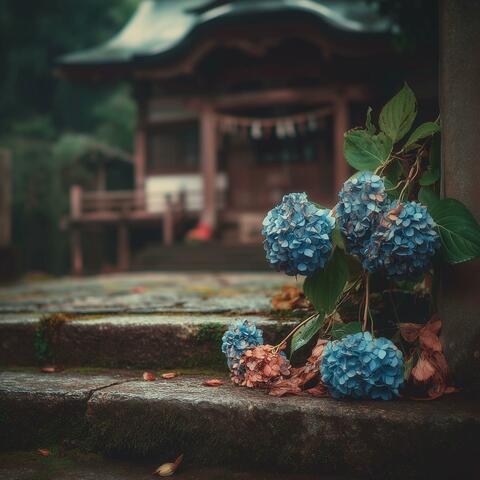 神社の境内、夏の始まり album art
