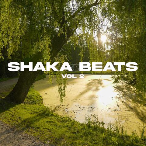 Shaka, Vol. 2 album art