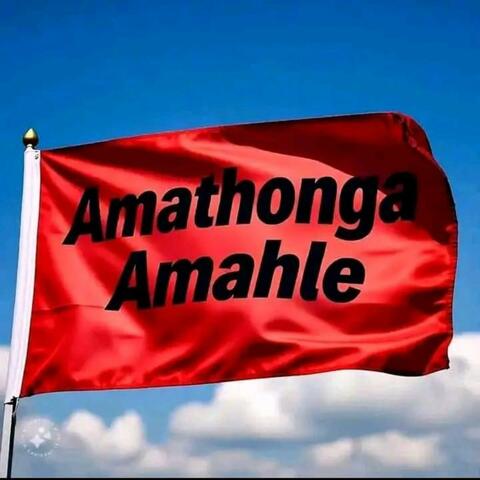 Inhlanzeko album art