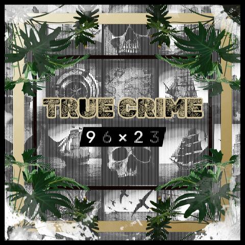 96×23 album art