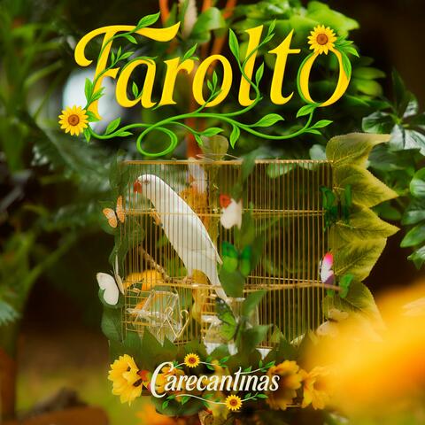 Farolito album art