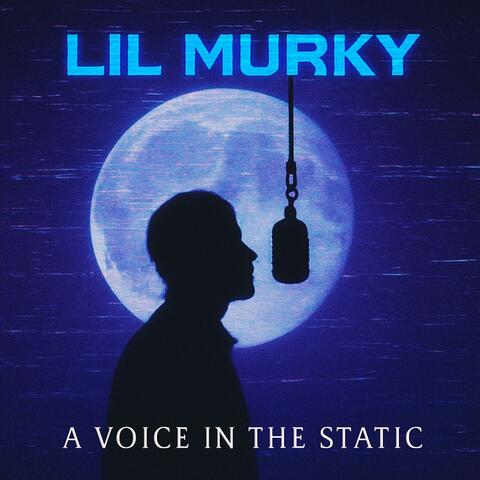 A Voice In The Static album art