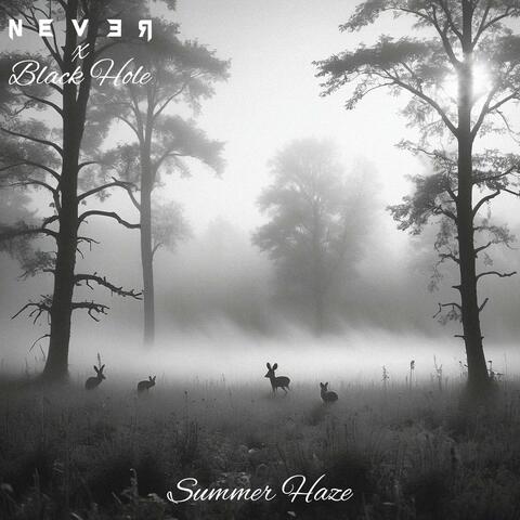 Summer Haze album art