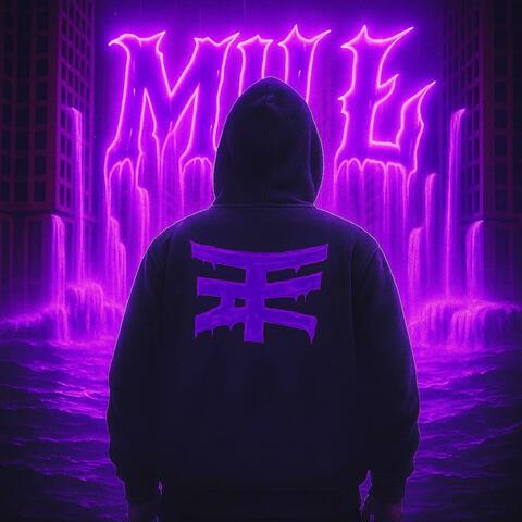 MUŁ (feat. maro mudd, pvwkog & MVKS) album art