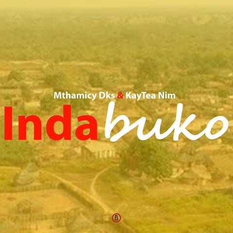 Indabuko album art
