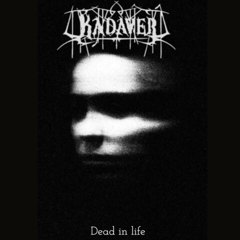 Dead in life album art