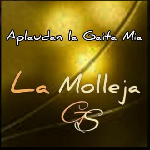 APLAUDAN LA GAITA MIA album art