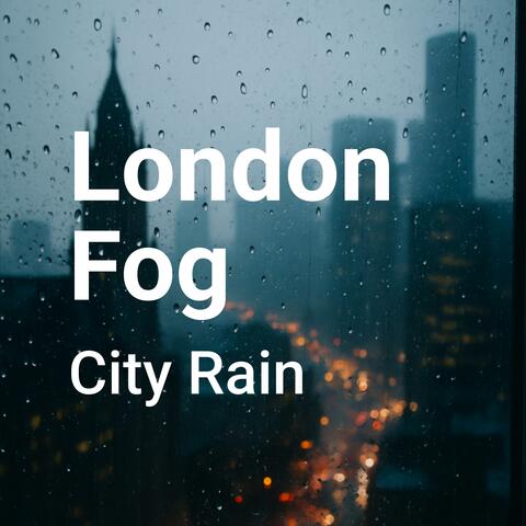 Foggy Rain album art