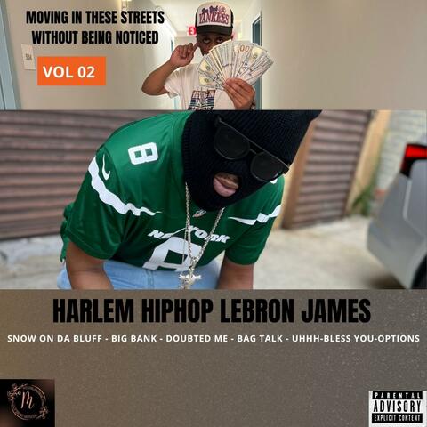 Moving In These Streets Without Being Noticed VOL 2 album art