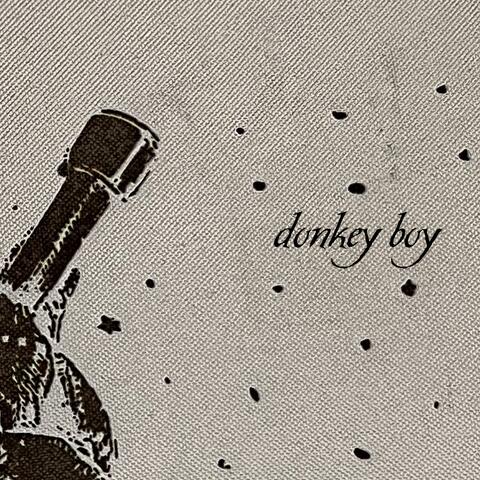 DONKEY BOY album art