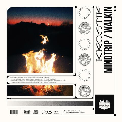 Mindtrip / Walkin album art