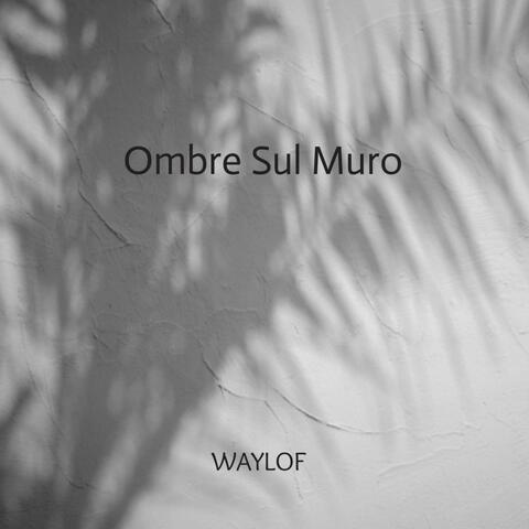 Ombre Sul Muro album art