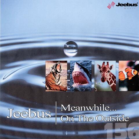 Meanwhile...On The Outside album art