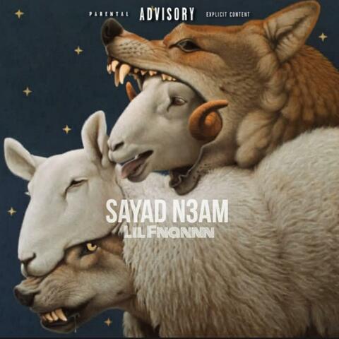 Sayad n3am (fin de carrière) album art