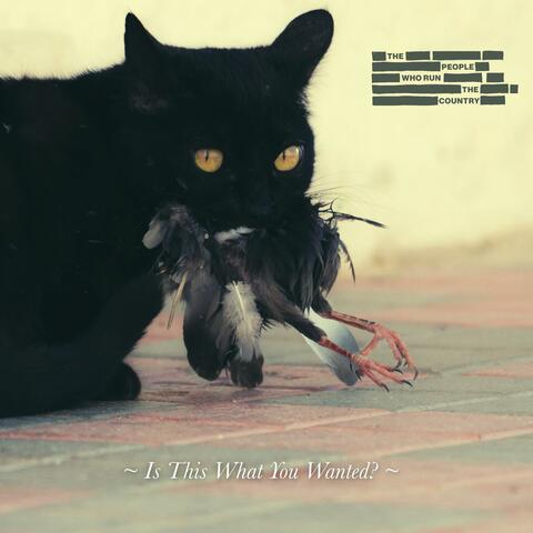 Is This What You Wanted? album art