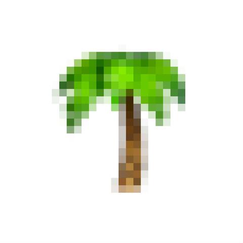 SALY album art