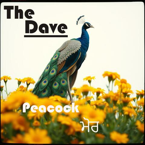 Peacock ਮੋਰ album art