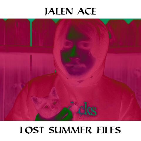 Lost Summer Files album art