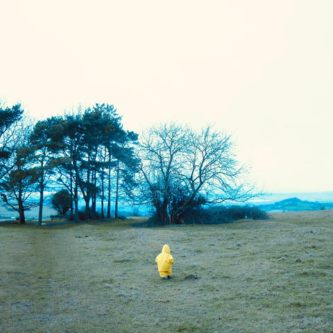 The Evergreen Tragedy album art