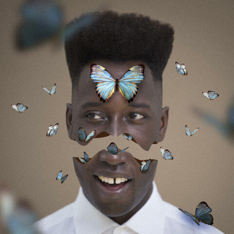 Pretty as a daffodil album art