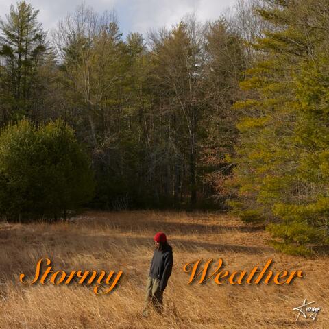 Stormy Weather album art