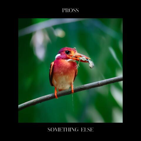 Something Else album art
