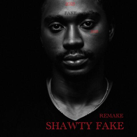 SHAWTY FAKE REMAKE album art