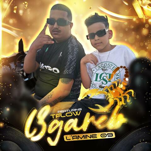 L3GAREB (feat. Tflow) album art