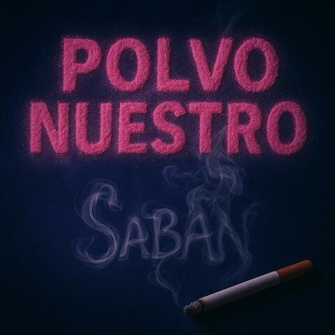 POLVO NUESTRO album art